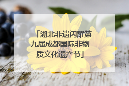 湖北非遗闪耀第九届成都国际非物质文化遗产节